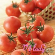 详细讲解西红柿减肥食谱原理及步骤