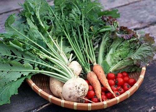 吃蔬菜有哪些错误的的做法？